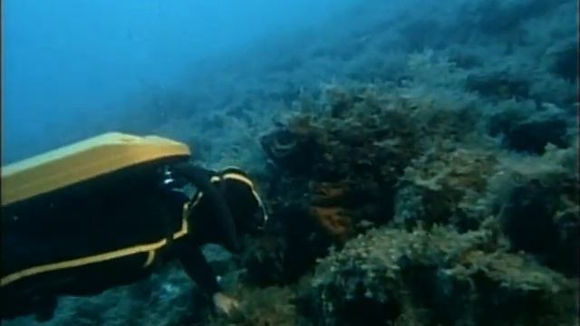 Подводная Одиссея Кусто - В поисках Атлантиды Часть I  1978