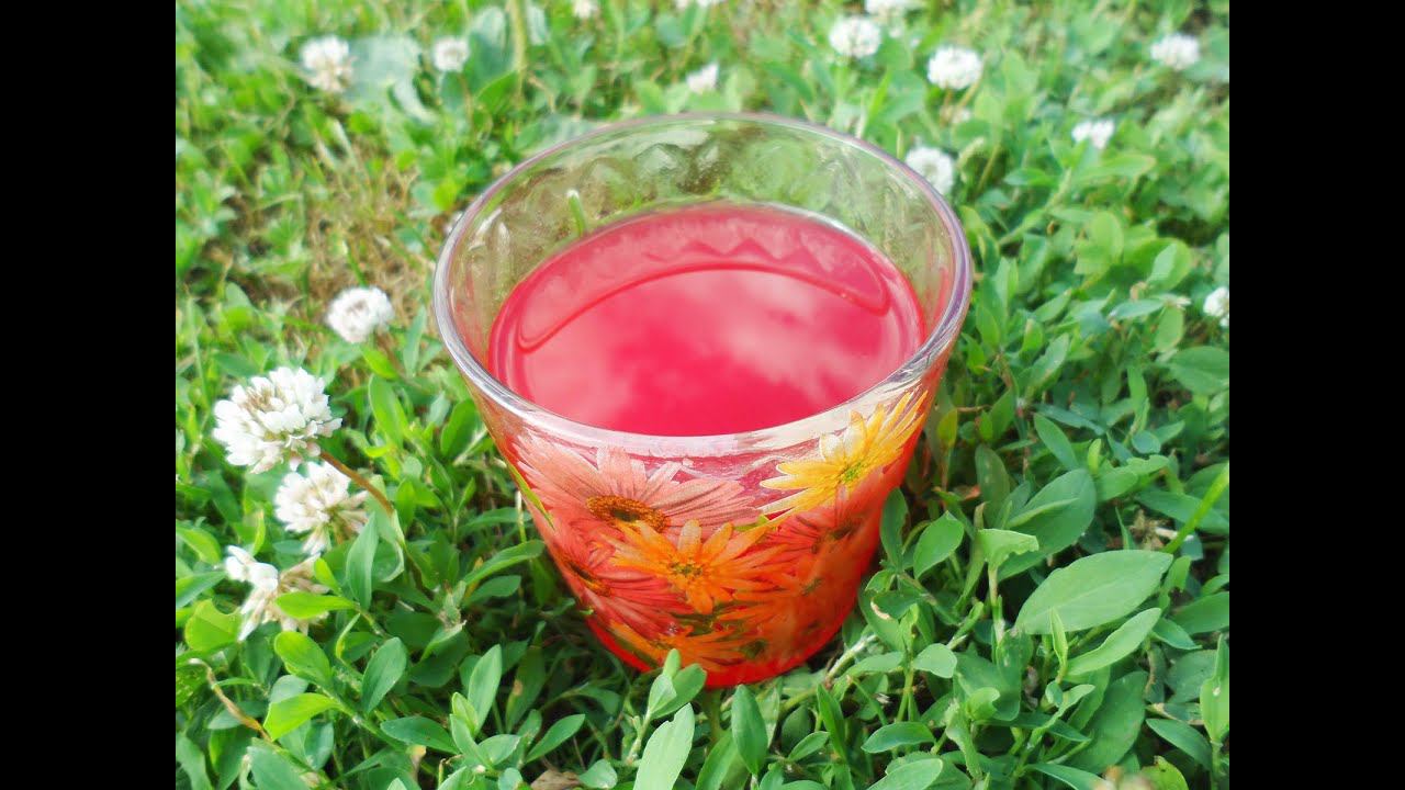 Калиновый морс своими руками смотреть онлайн