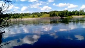 Огромные креветки на десногорском водохранилище...