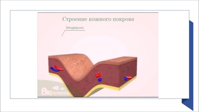 Контурная пластика лица