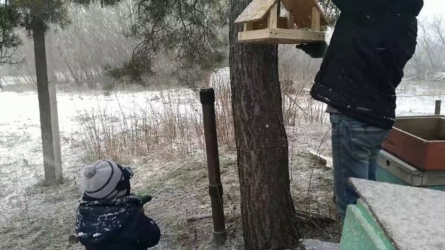 Телята теперь на улице//Делаем кормушку.