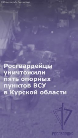 Росгвардейцы уничтожили пять опорных пунктов ВСУ в Курской области