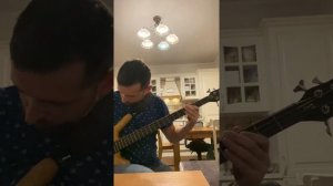 Ария - Беспечный ангел (Bass cover)