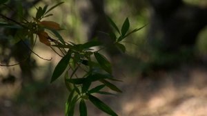 Panasonic AG-UX90 VIDEO TEST 2022