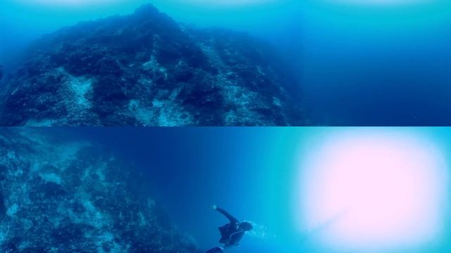 Mactan Cebu dive site "OLANGO" scuba diving look around!! 360° VR смотреть онлайн