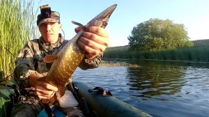 Рыбалка на щуку ранним утром. Ловля щуки в июле с лодки.