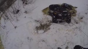 Медведь Шатун 2017