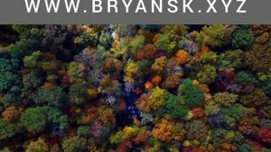 Дятьково - Брянская область. Дятьково - город в Брянской области, где производят мебель. Брянск 202