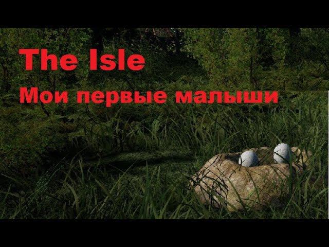 The Isle. Гнездование. Мои первые малыши.