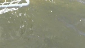 рыбалка в Зашейке 2014