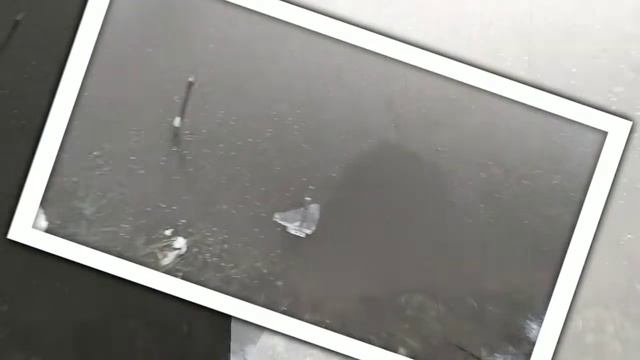 Как промерзает пруд зимой или эксперимент со льдом :-) How pond freezes in winter. смотреть онлайн