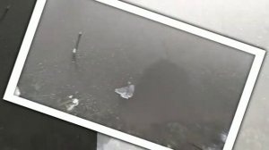 Как промерзает пруд зимой или эксперимент со льдом :-) How pond freezes in winter.