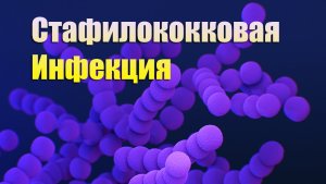 Стафилококковая инфекция – причина старения и гибели организма (семинар февраль 2023)