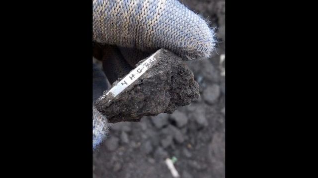 Клад 2019 найденный Minelab Equinox 600 X-Terra 705 смотреть онлайн