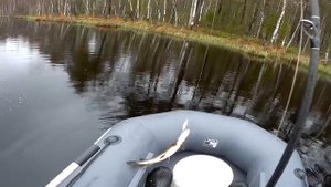 Рыбалка на щуку в начале мая