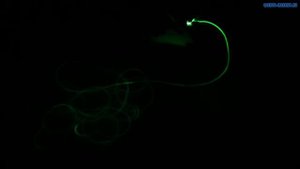 Оптоволокно бокового свечения. Обзор