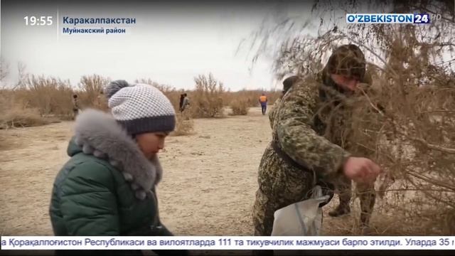 Посадка молодежью саксаула в Каракалпакстане смотреть онлайн