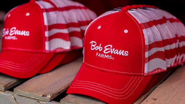 48th Annual Bob Evans Farm Festival смотреть онлайн