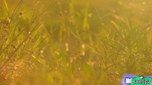 Печора под трек 7Б- не крещенная луна