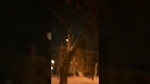 Странные звуки ночью!Звук похож на сиренрголового!😱😰🤫