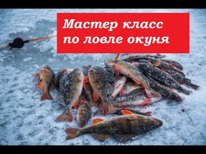 Мастер класс по ловле окуня на блесну