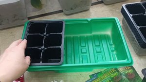 Минипарник с торфяными таблетками из Фикс-Прайса, удобно?