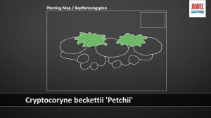 Juwel Aquarium Primo 70 LED Einrichtungsbeispiel / Tutorial