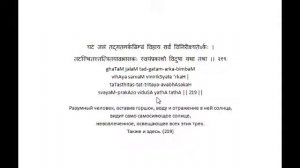 ВивекаЧудамани курс Свамини Видьянанды Сарасвати 184 шлока 219 Надо увидеть солнце