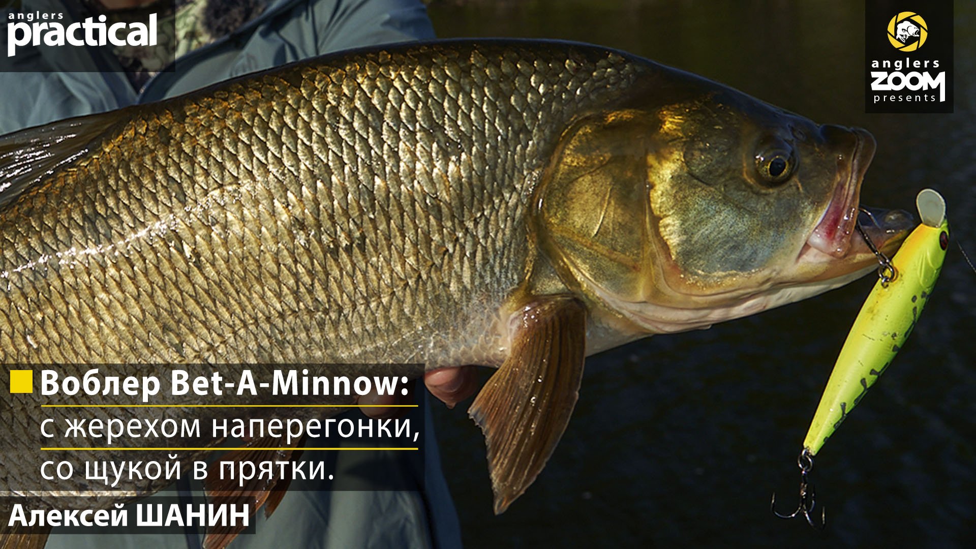 Рыбалка Воблер Bet-A-Minnow: c жерехом наперегонки, со щукой в прятки. А.Шанин. Anglers Practical.