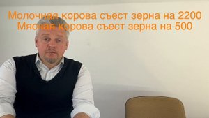 Мясная ферма или молочная, что выгоднее? | обзор директора