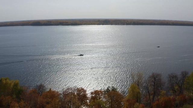 Профессиональная рыбалка PAL 2020