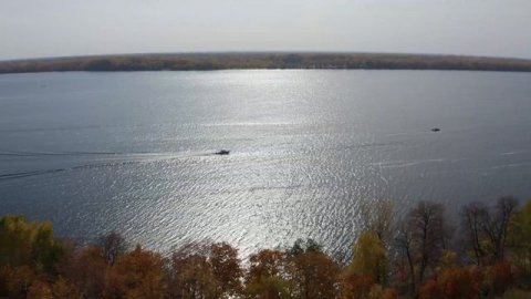 Профессиональная рыбалка PAL 2020