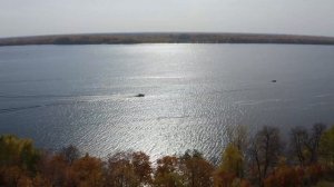 Профессиональная рыбалка PAL 2020