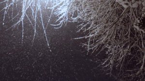 мама я опять вернулась