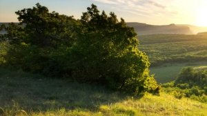 Вернувшись из отпуска раньше времени, Ирина спешила домой, но открыв дверь…