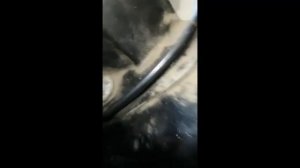 Пневмостойки Lexus LS430/ Toyota Celsior