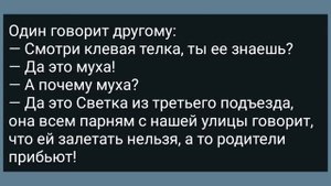 Вовочка Ночью Пришел к Соседке! Сборник Свежих Анекдотов! Юмор!