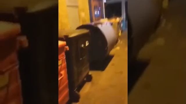 мусорник смотреть онлайн