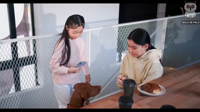 9 Dicas de alimentos que podem MATAR seu Cachorro 🐶🐕 смотреть онлайн