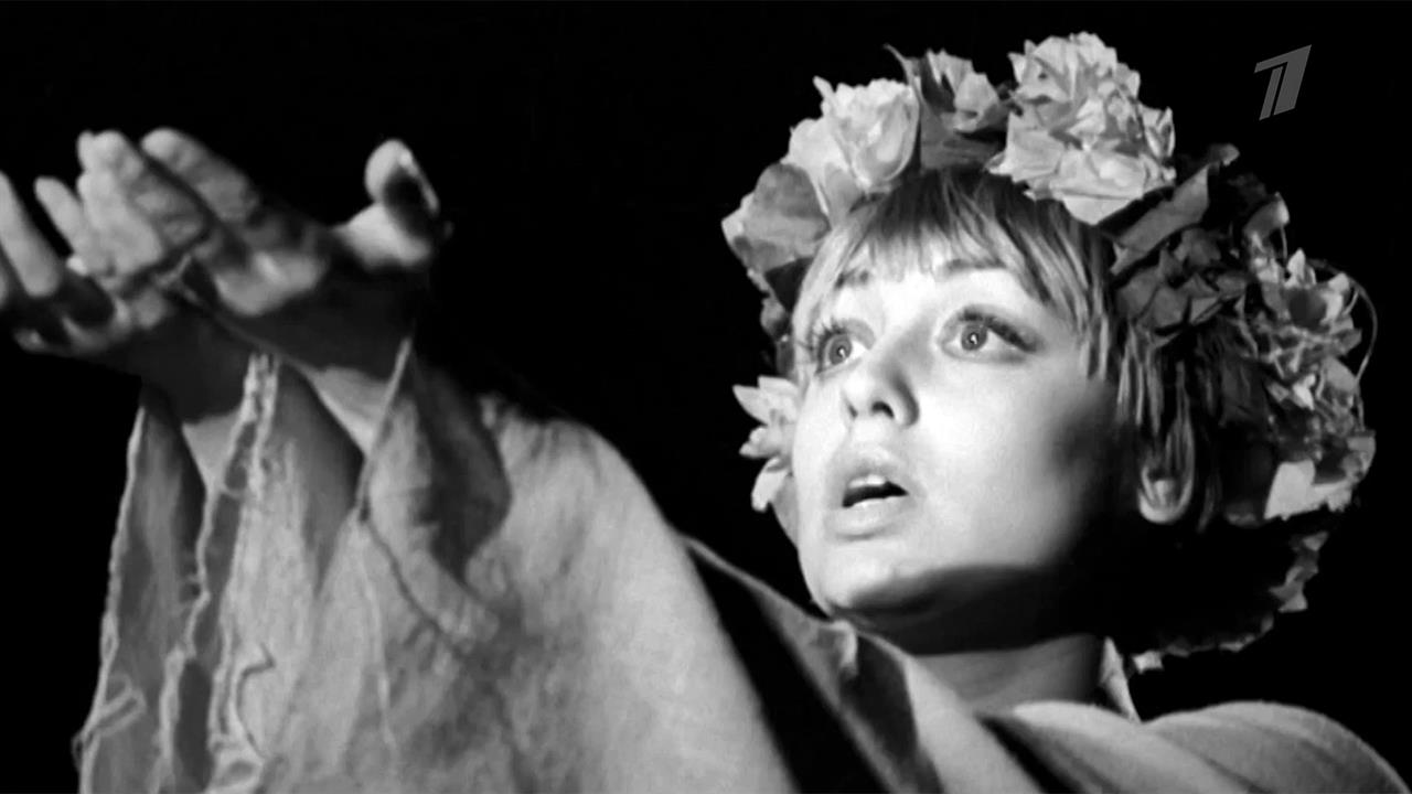 Елена шанина биография личная жизнь