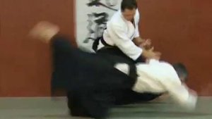 Christian Tissier 8 Dan Aikido Aikikai - Immobilisations