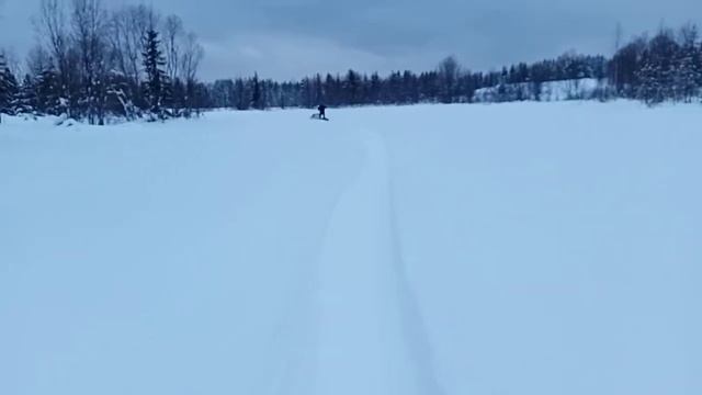 КАТАЕМСЯ С СЫНОМ НА МОТОСОБАКЕ смотреть онлайн