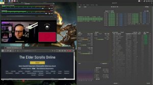 Two Linux gamers review The Elder Scrolls Online