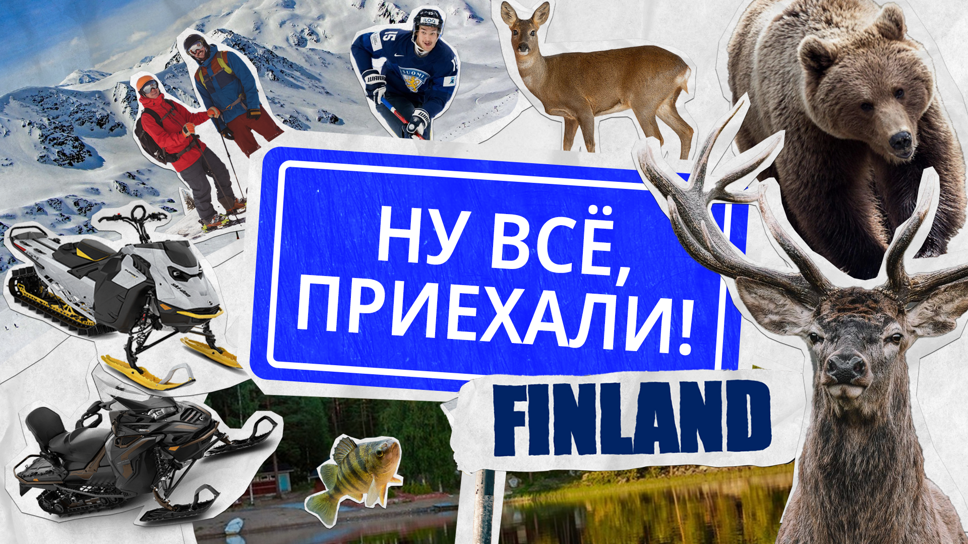 Как отличаются правила дорожного движения в России и Финляндии
