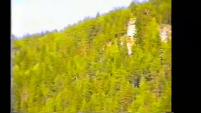 сплав