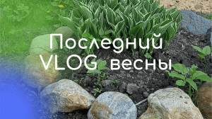 Последний влог весны