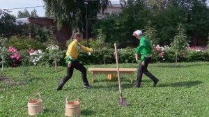 ансамбль Забава В огороде черна редька
