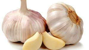 Лечим укусы комаров и слепней