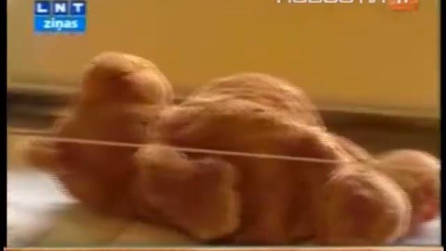 Первый приемник для отказников появится в...