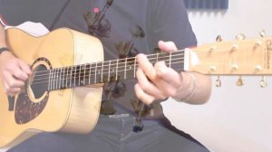 Norman Studio B50 Acoustic Guitar Demo by Roo